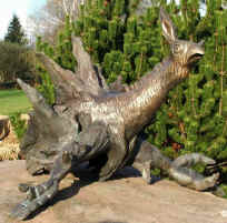 Ellwetritsch im Kurpark Dahn